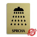 Piktogram Sprcha, stříbrný 100x133mm Oregon