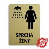 Piktogram Sprcha ženy, stříbrný 100x133mm Oregon