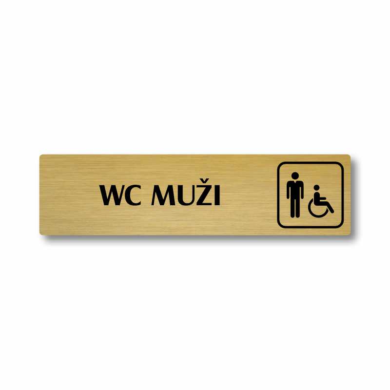 WC muži invalida, Florida, stříbrná