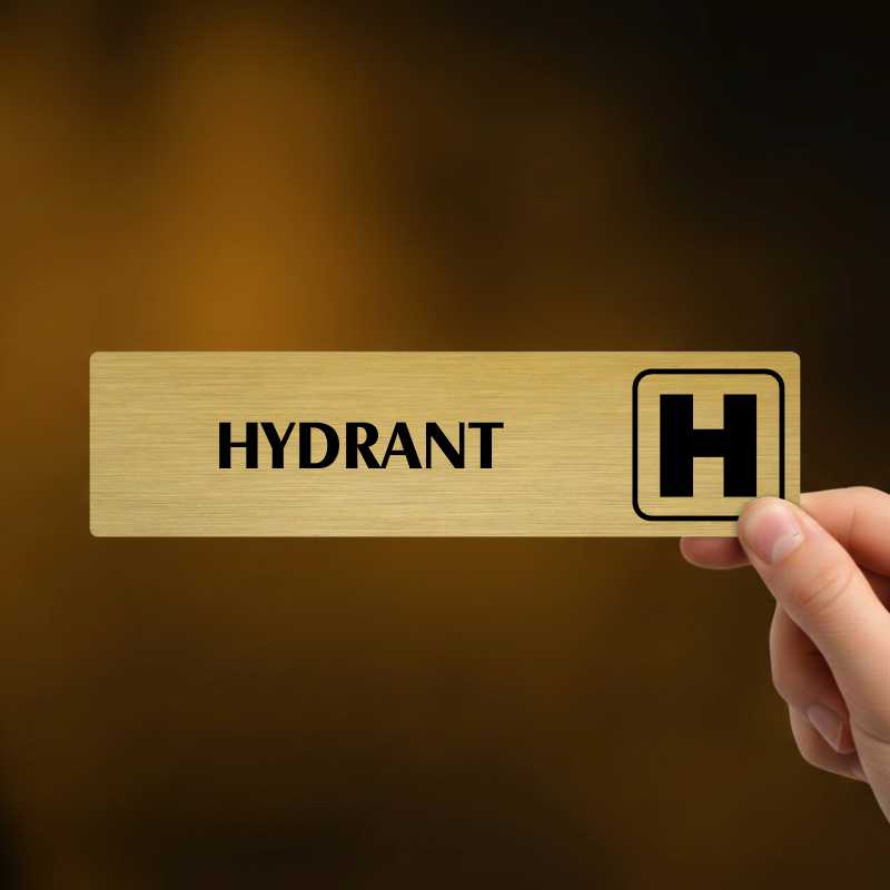 Hydrant, Florida, stříbrná