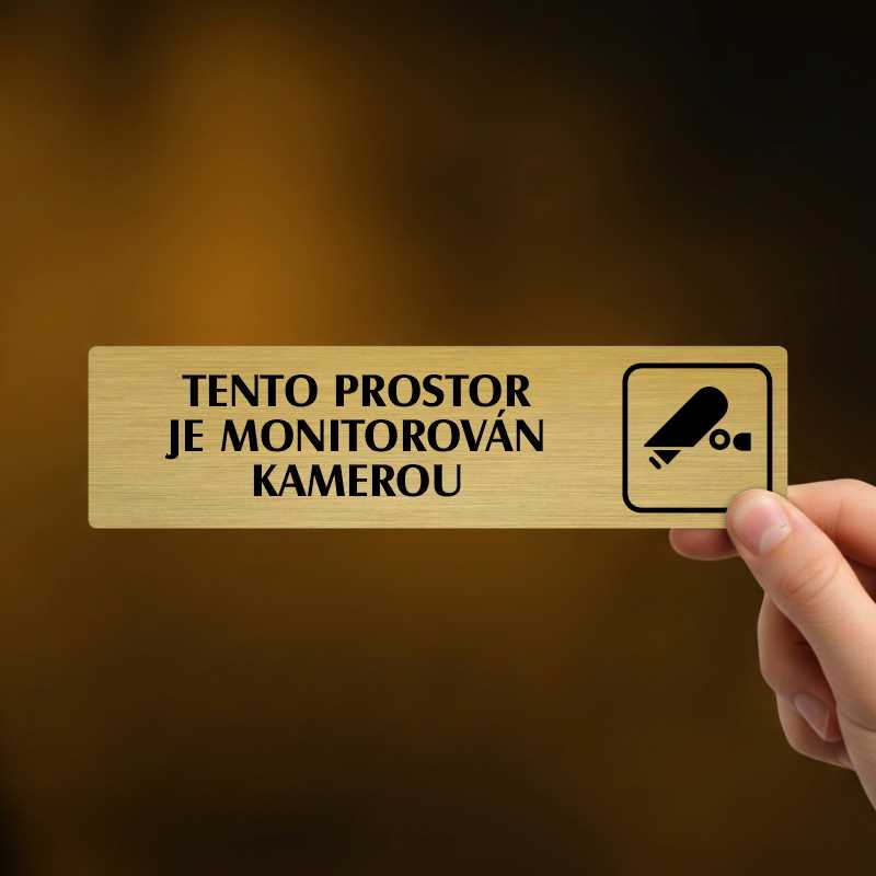 Prostor monitorován kamerou, Florida, stříbrná