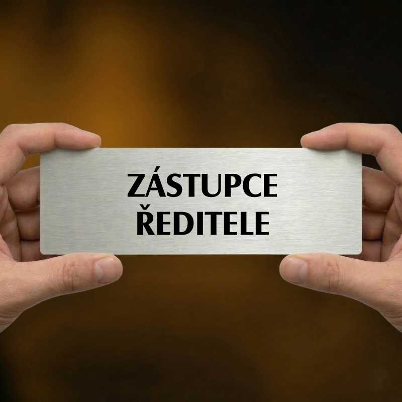 Zástupce ředitele, 240x79mm, stříbrná popiska 