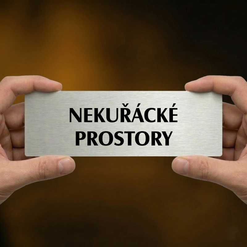 Nekuřácké prostory, 240x79mm, stříbrná popiska 