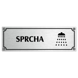 Sprcha, 240x79mm, stříbrná popiska s imitacemi šroubků