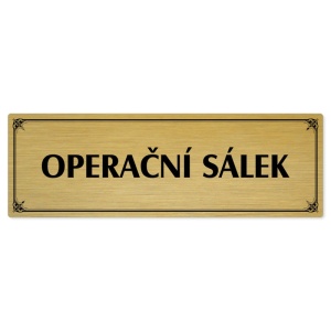 Operační sálek, 240x79mm, zlatá popiska s okrasným rámečkem  