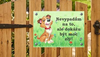 Psí cedule